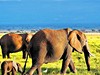 Přivítání s Afrikou - obrázek č. 3